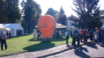 DSC00142 800